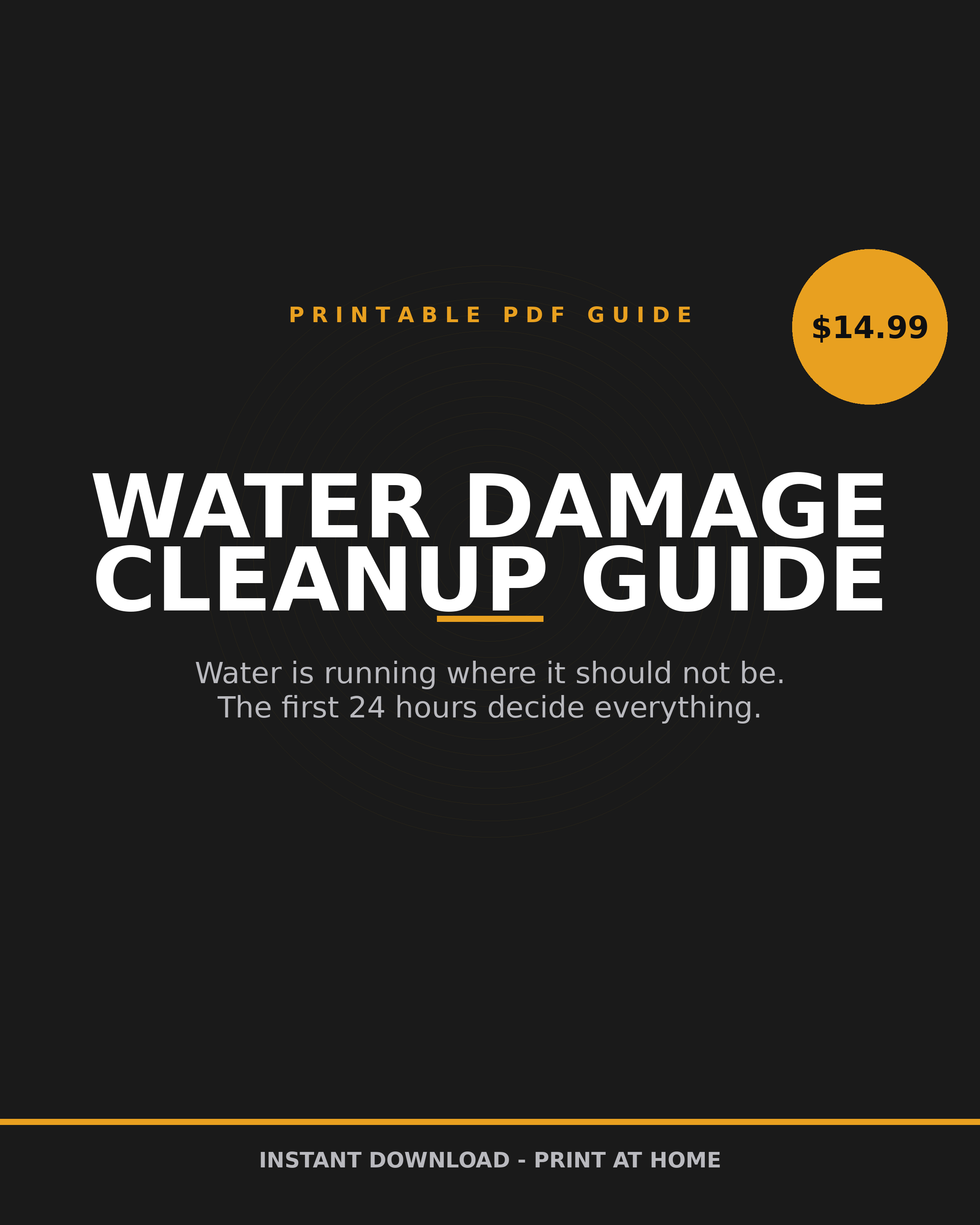 Water Damage First 24 Hours printable PDF: flood cleanup and burst pipe response